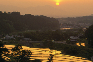 Asuka Village
