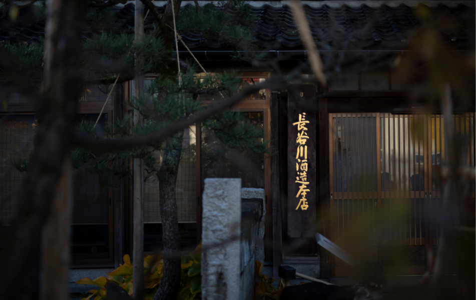 Hasegawa Shuzo Entrance at Night