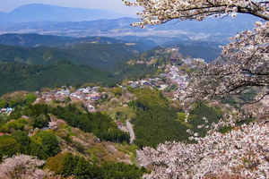 Mount Yoshino