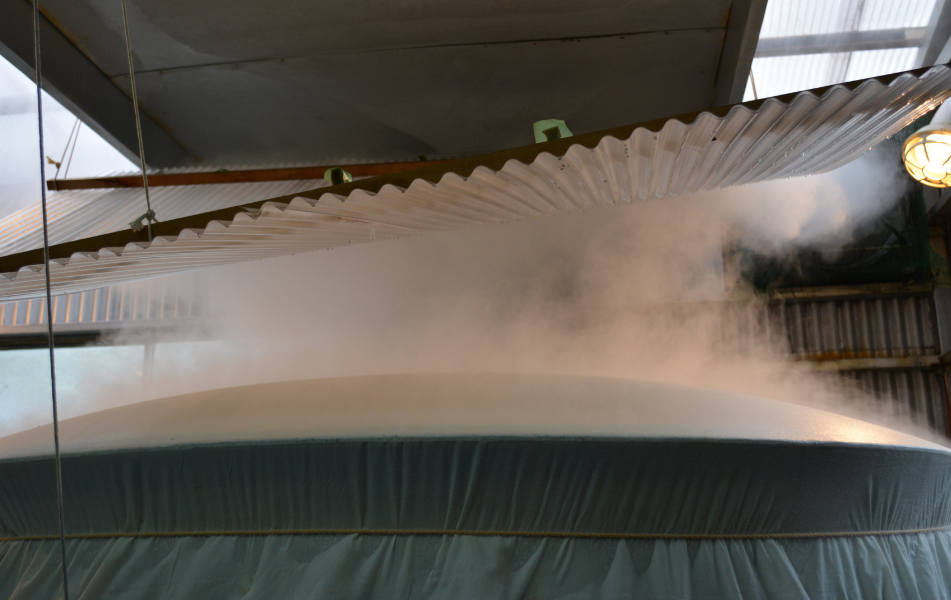 Steaming rice for sake brewing