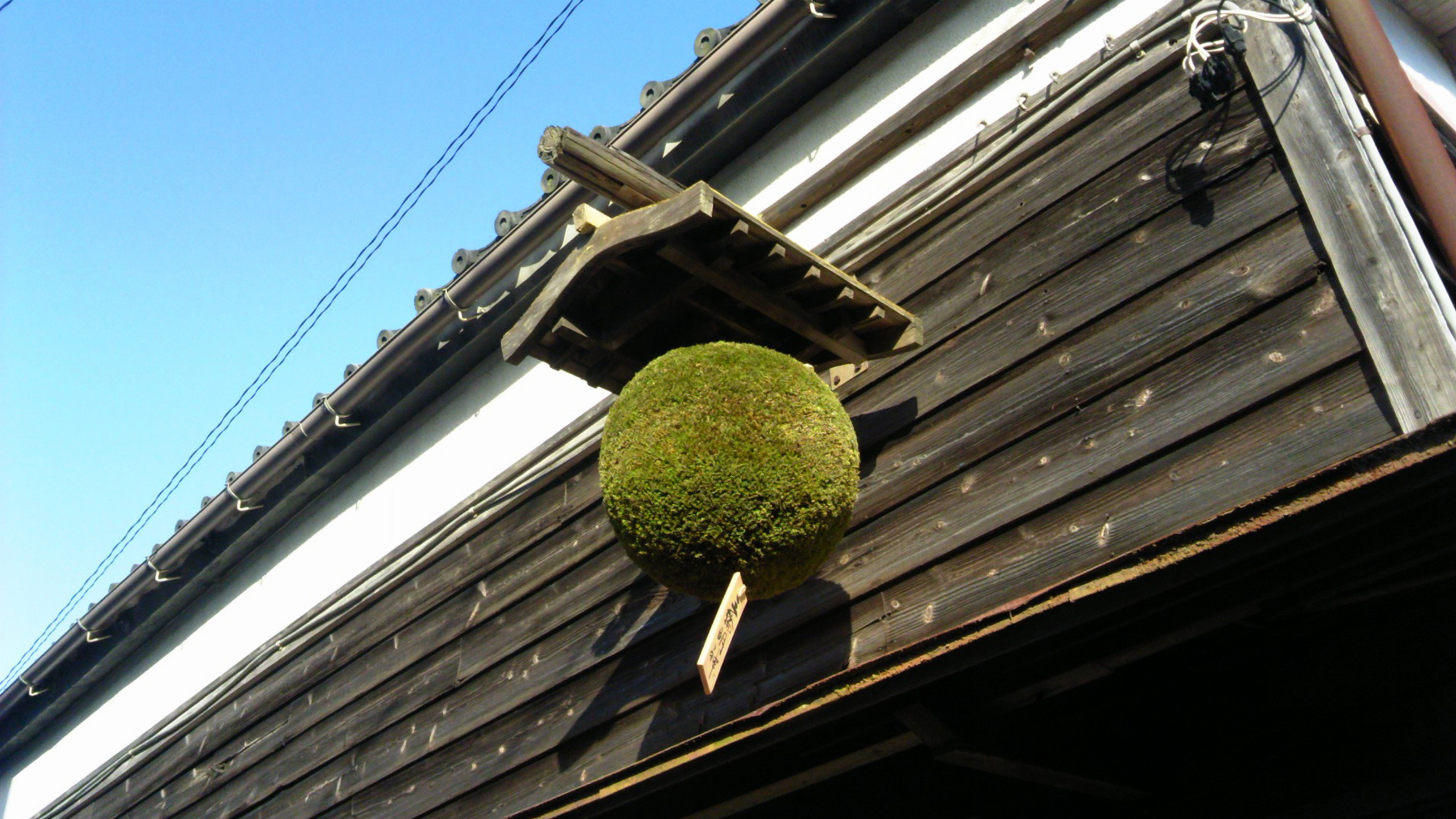 Shimizu Seizaburo Shoten - Zaku – Kurashu