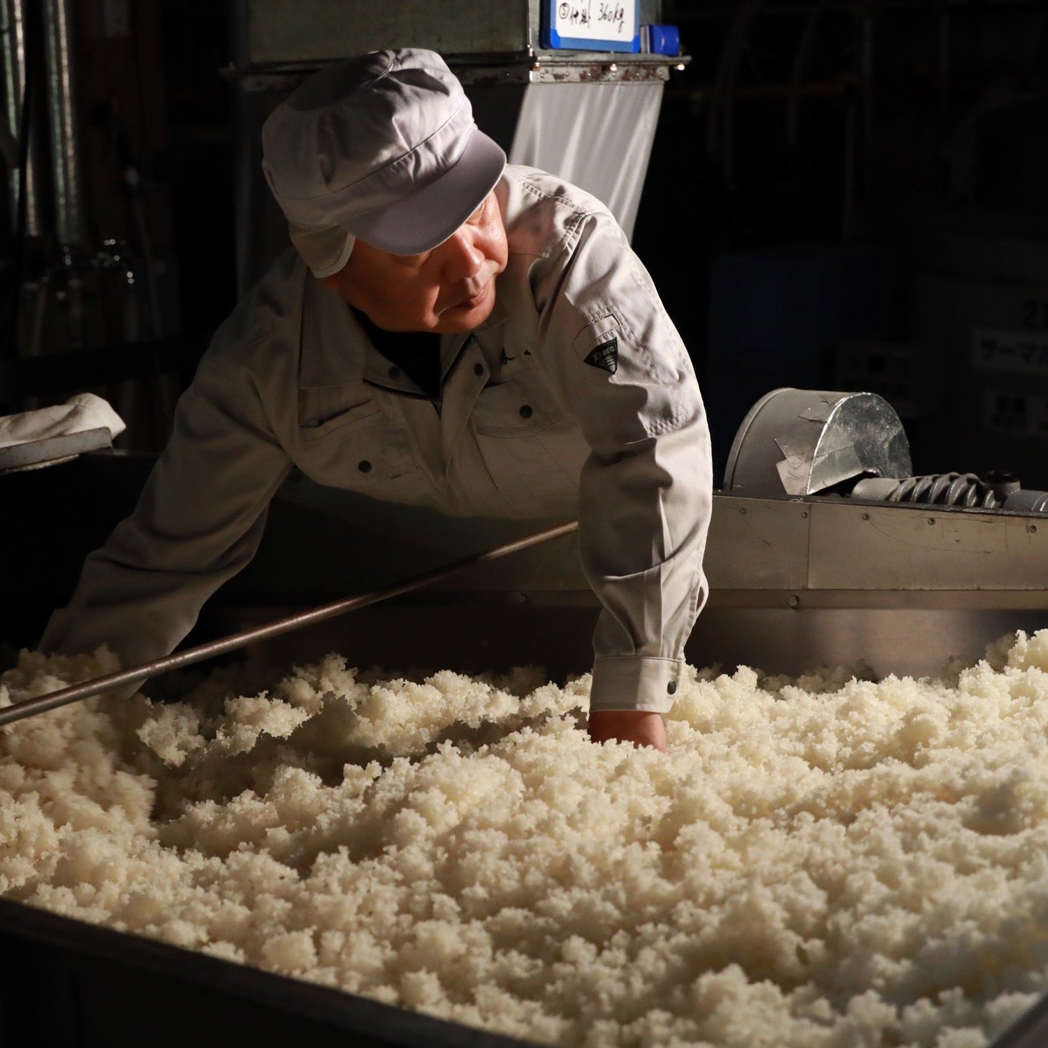 A brewer spreading steamed rice at Katsuyama Brewery